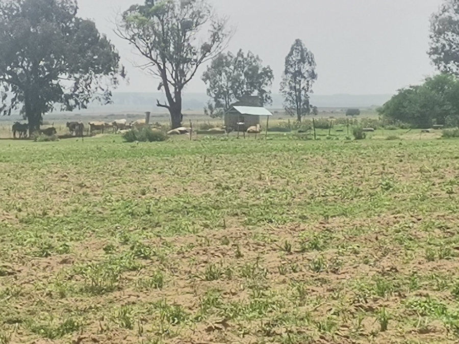 Commercial Property for Sale in Senekal Rural Free State